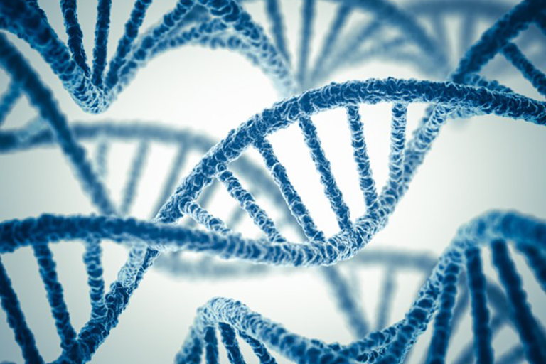 Logistique & conditionnement